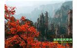 春節(jié)期間：張家界、天子山、金鞭溪自駕車精華精品游