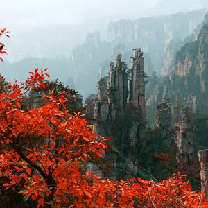 休閑自駕E線：張家界、袁家界、天子山、寶峰湖、鳳凰古城、沱江泛舟四晚五日游